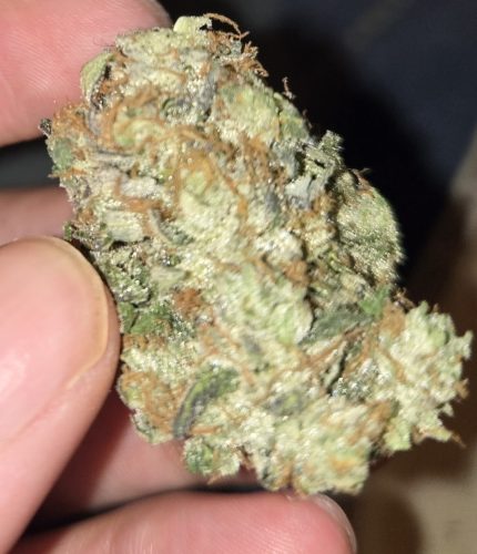 Northern Lights photo review