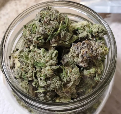 Pink Venom (Popcorn) photo review
