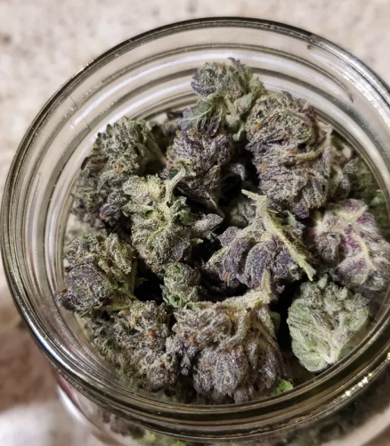 Platinum Pink (Popcorn) photo review